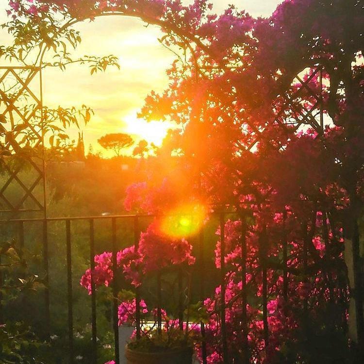 Villa L'ulivina Sorrento Esterno foto