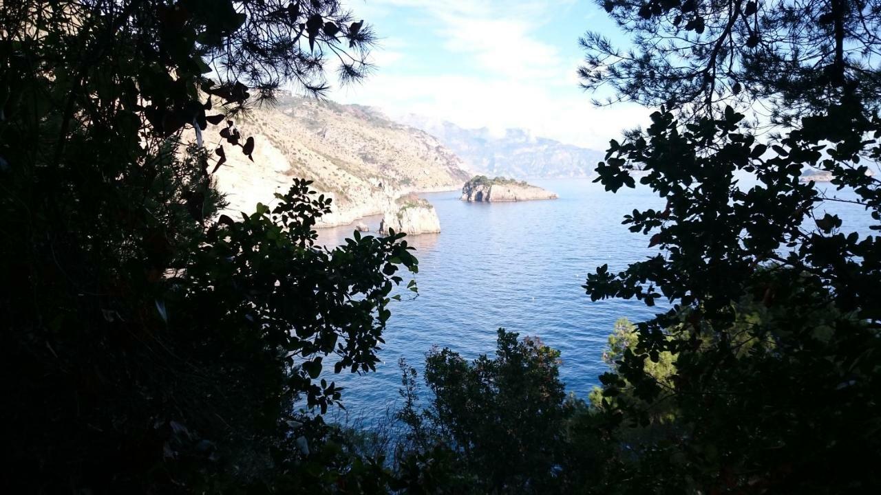Villa L'ulivina Sorrento Esterno foto