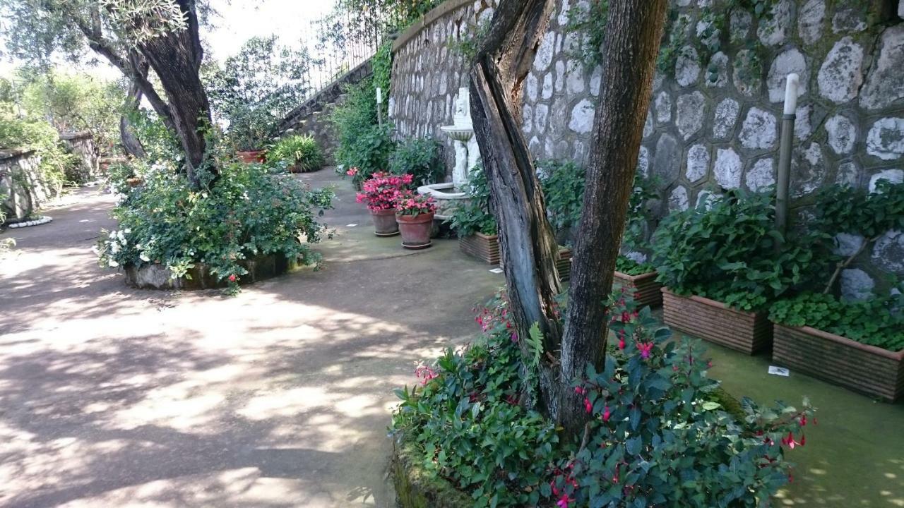 Villa L'ulivina Sorrento Esterno foto