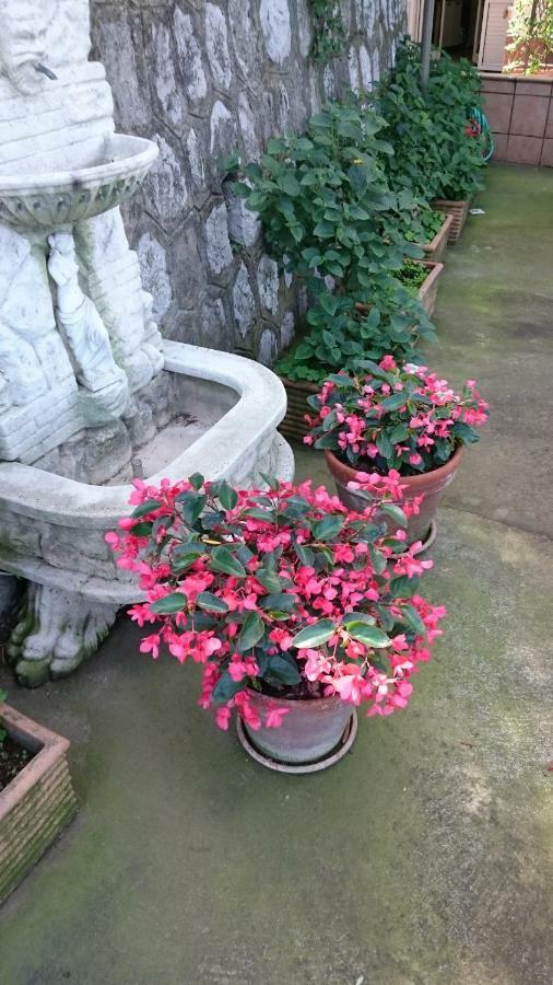 Villa L'ulivina Sorrento Esterno foto