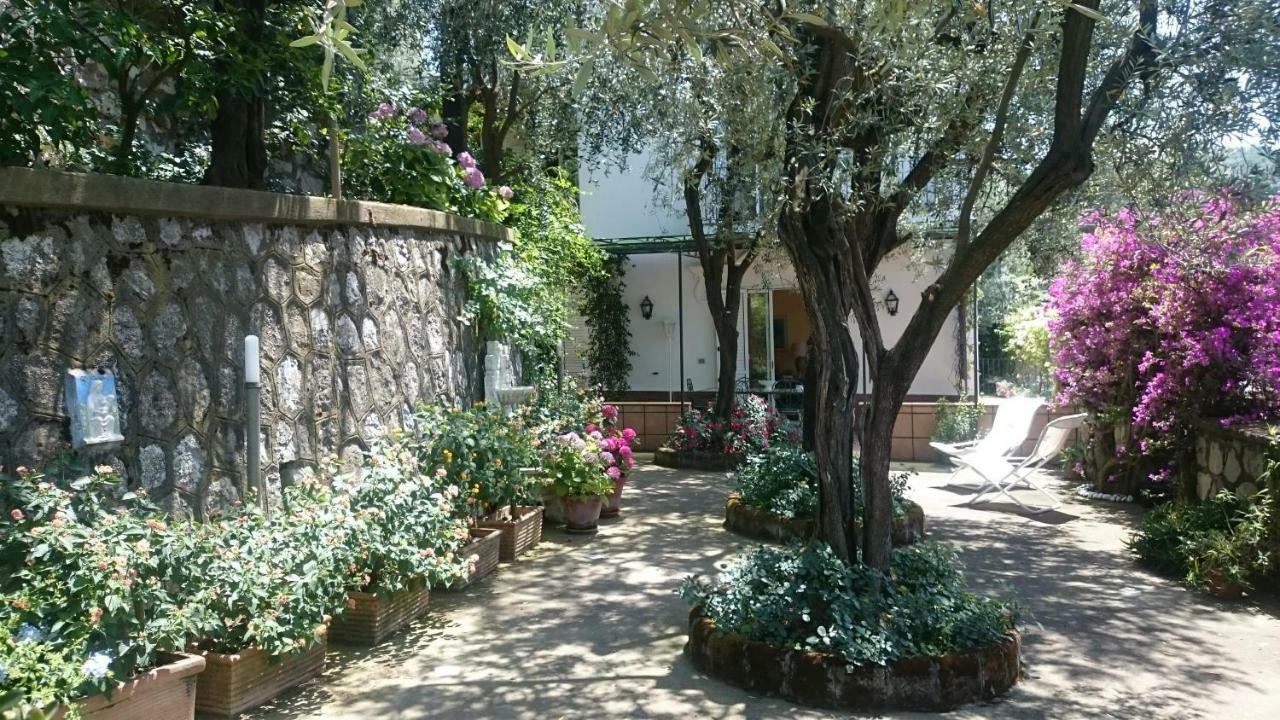 Villa L'ulivina Sorrento Esterno foto
