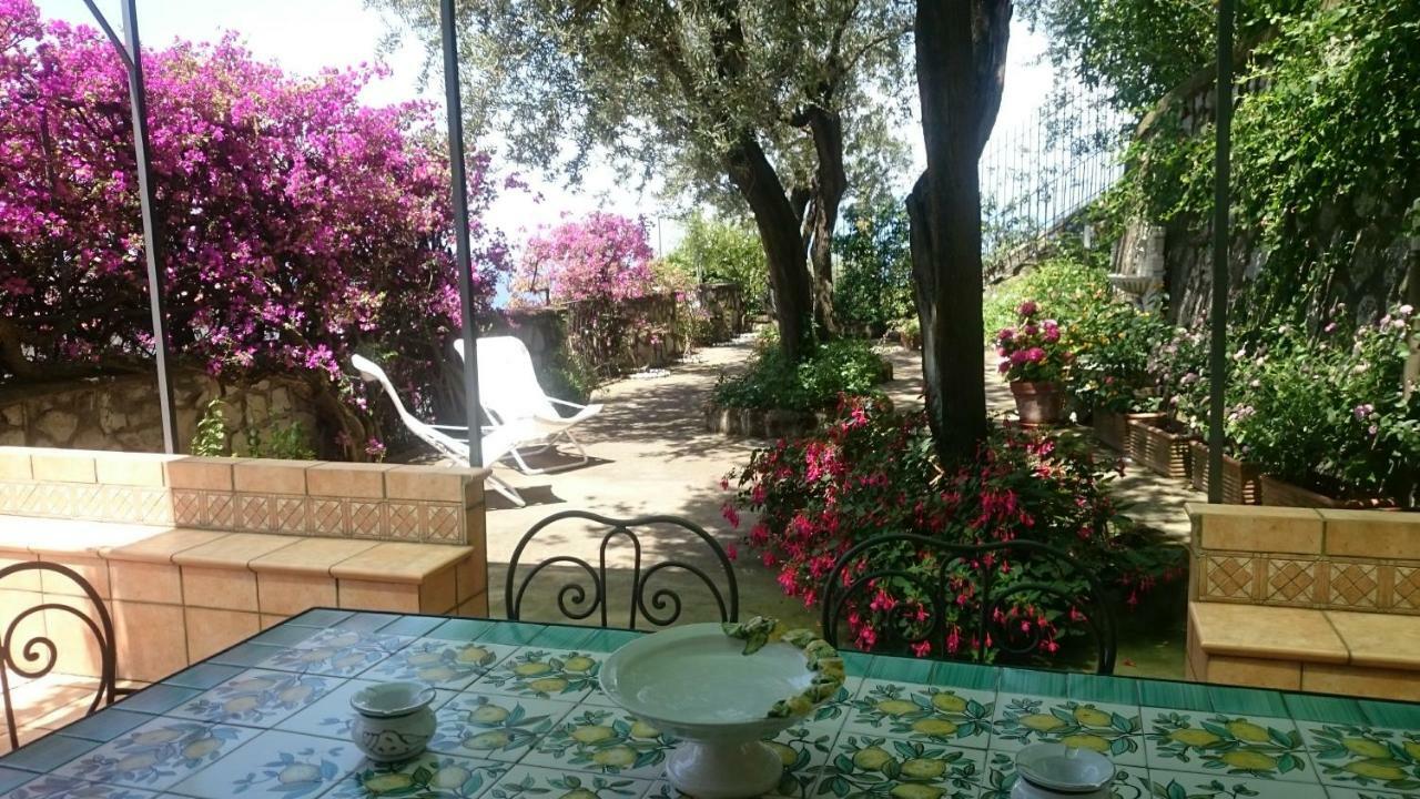 Villa L'ulivina Sorrento Esterno foto