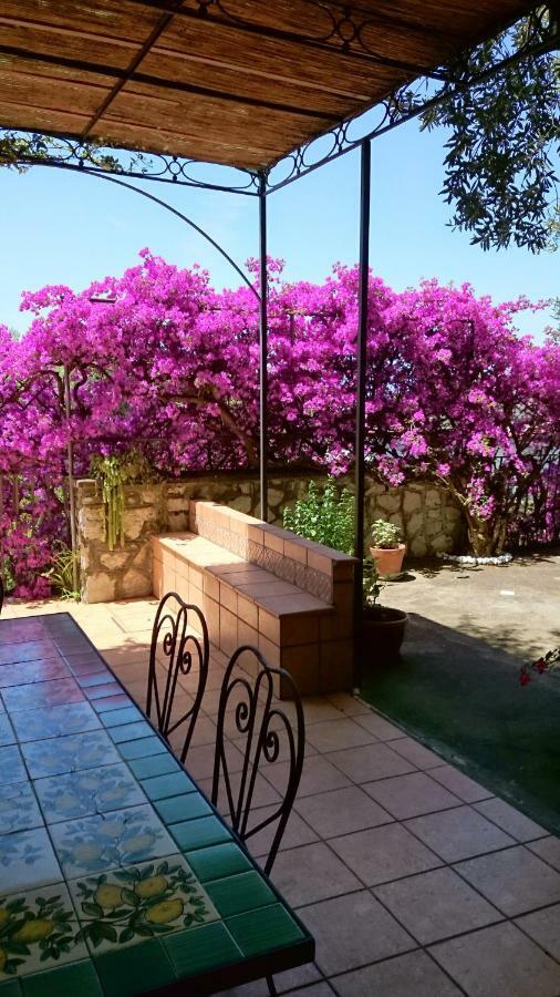 Villa L'ulivina Sorrento Esterno foto